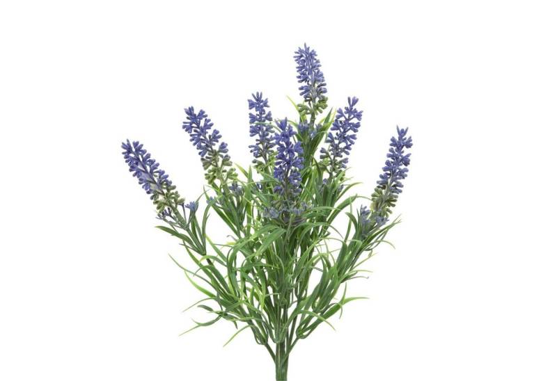 Kunstblume Lavendel Büschel mit 7 Blüten Kunstblume Kunstpflanze H: 34cm violett, MARELIDA, Höhe 34 cm von MARELIDA