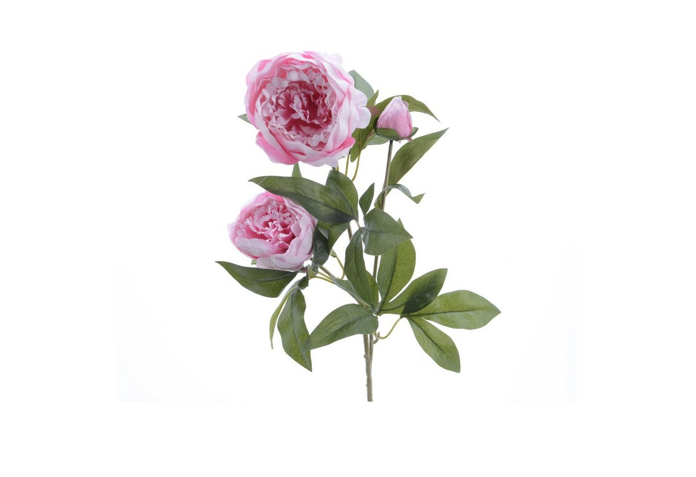 Kunstblume Pfingstrose Blüten und Knospe am Stiel Kunstblume Päonie H: 75cm rosa, MARELIDA, Höhe 75 cm von MARELIDA
