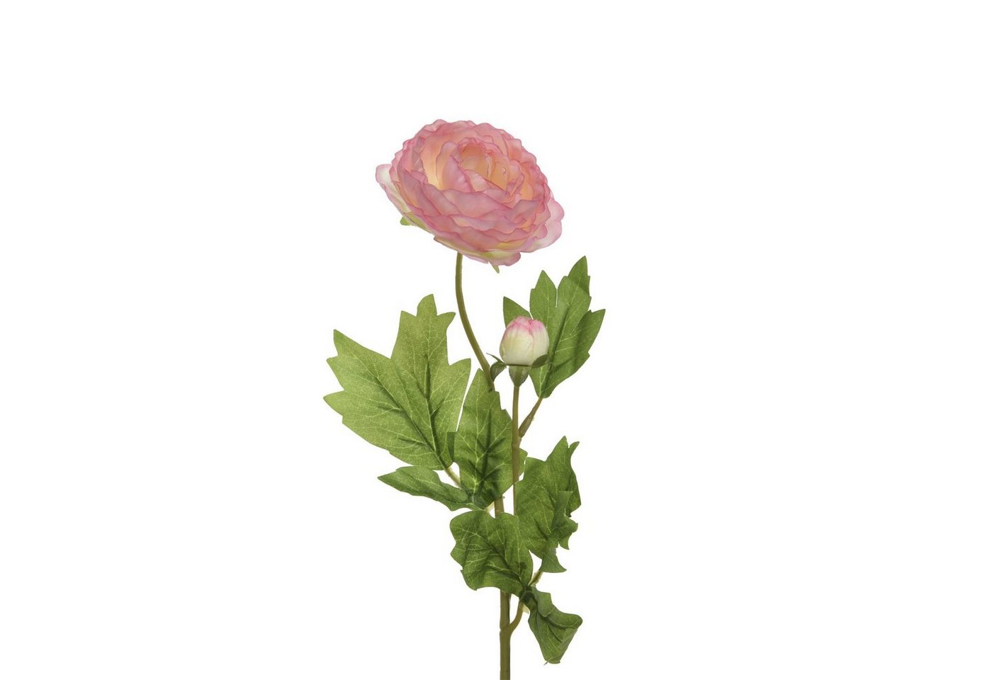 Kunstblume Ranunkel mit Blüte und Knospe am Stiel Kunstblume Dekoblume H: 57cm, MARELIDA, Höhe 57 cm von MARELIDA
