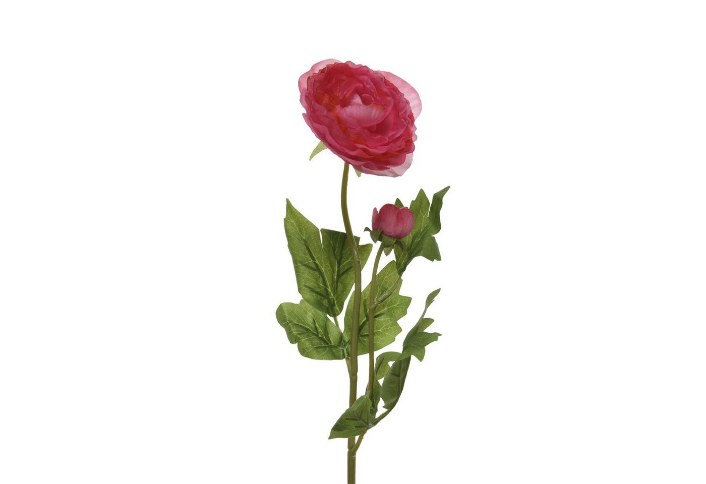Kunstblume Ranunkel Blüte und Knospe am Stiel Kunstblume Dekoblume H: 57cm rot, MARELIDA, Höhe 57 cm von MARELIDA