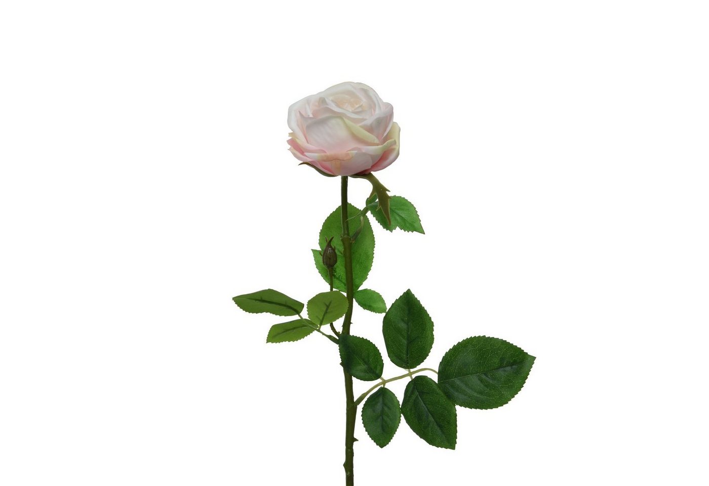 Kunstblume Rose am Stiel Kunstblume Rosenblüte Blume Real Touch H: 66cm creme, MARELIDA, Höhe 66 cm von MARELIDA