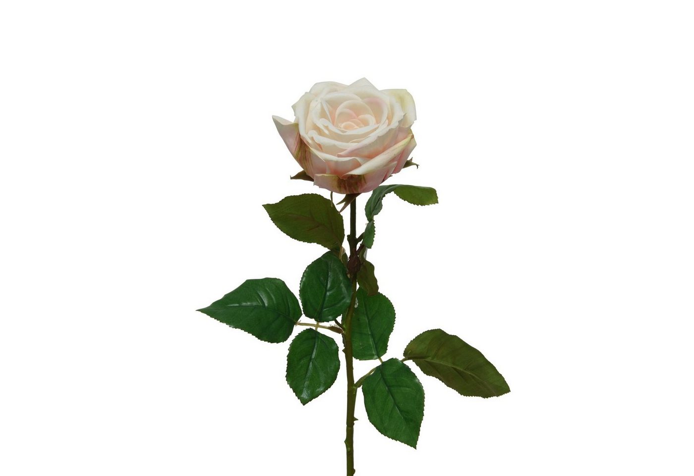 Kunstblume Rose am Stiel Kunstblume Rosenblüte künstlich Real Touch H: 68cm creme, MARELIDA, Höhe 68 cm von MARELIDA