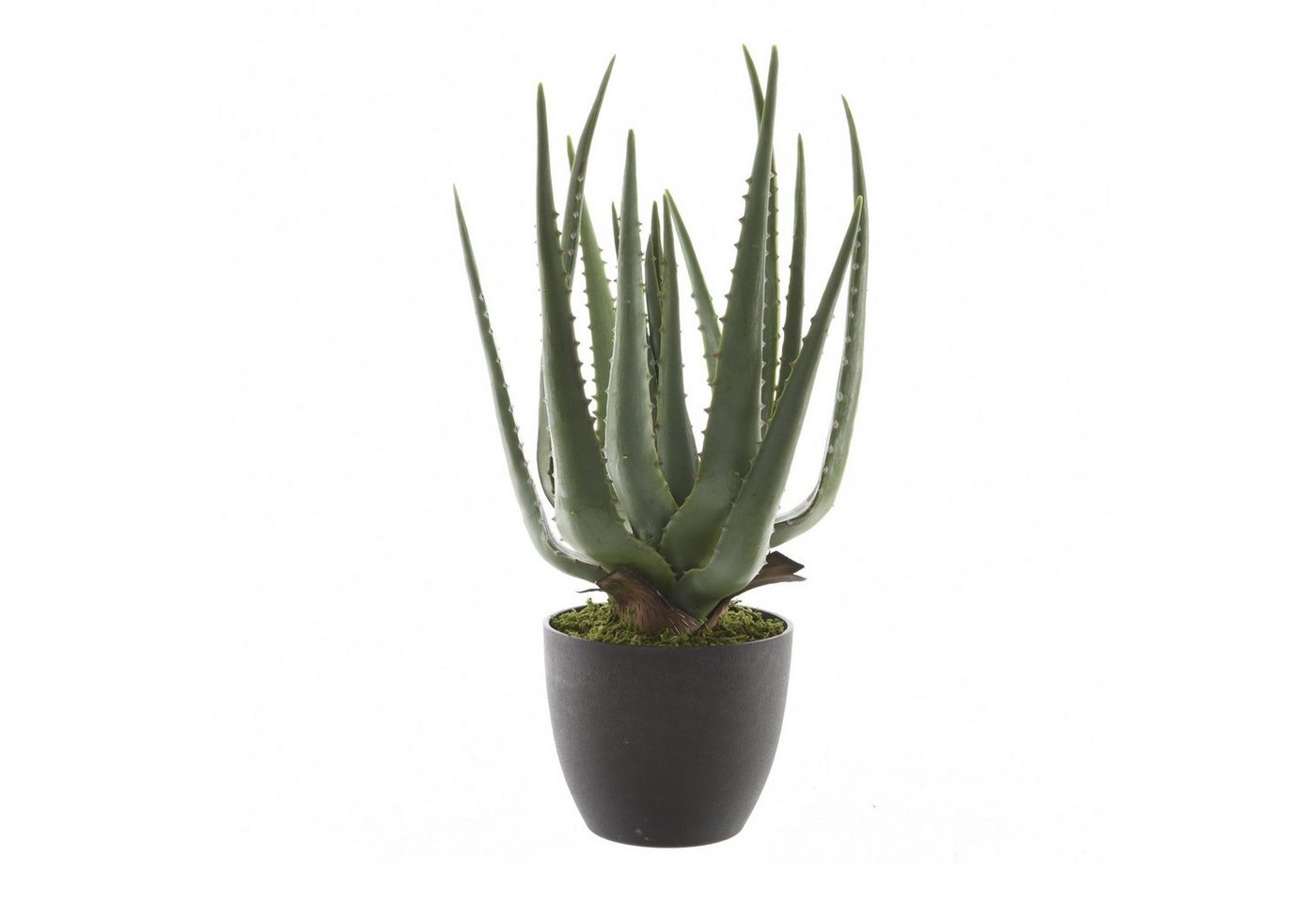 Kunstpflanze Künstliche Aloe Vera im Topf Kunstpflanze Zimmerpflanze H: 40cm, MARELIDA, Höhe 40 cm von MARELIDA