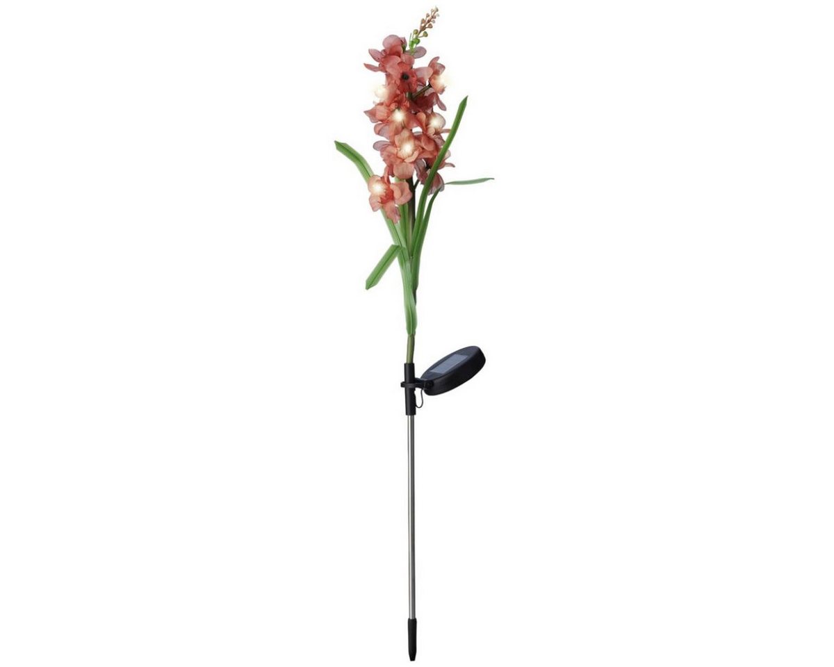 MARELIDA LED Solarleuchte LED Solar Gartenstecker Blume GLADIOLE warmweiß Sensor rot Solardeko, LED Classic, warmweiß (2100K bis 3000K) MARELIDA LED Solarleuchte LED Solar Gartenstecker Blume GLADIOLE warmweiß Sensor rot Solardeko, LED Classic, warmweiß (2100K bis 3000K) von MARELIDA