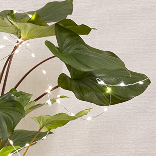 LED Draht Lichtbündel - Pflanzenbeleuchtung - warmweiße LED - Innen und außen - silberner biegsamer Draht (80cm - 60 LED) von MARELIDA