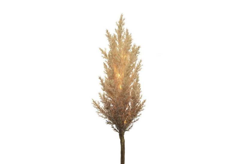 MARELIDA LED-Leuchtzweig LED Zweig Pampasgras Herbstdeko Winterdeko Deko Timer für Innen braun, 12-flammig von MARELIDA