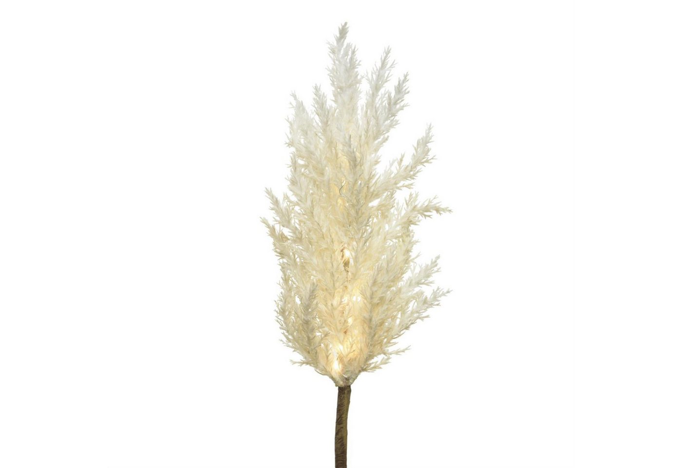 MARELIDA LED-Leuchtzweig LED Zweig Pampasgras leuchtend Herbstdeko Winterdeko Timer für Innen, 12-flammig MARELIDA LED-Leuchtzweig LED Zweig Pampasgras leuchtend Herbstdeko Winterdeko Timer für Innen, 12-flammig von MARELIDA