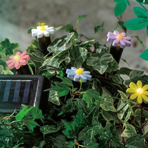 MARELIDA LED Solar Lichterkette Blumen Gartendekoration Beetstecker 5 Gartenstecker mit bunten Blümchen Stabbeleuchtung mit Lichtsensor für Garten Balkon Terrasse MARELIDA LED Solar Lichterkette Blumen Gartendekoration Beetstecker 5 Gartenstecker mit bunten Blümchen Stabbeleuchtung mit Lichtsensor für Garten Balkon Terrasse von MARELIDA