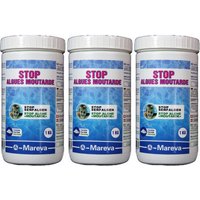 Mareva - Senf Algenbehandlung 3er-Set für infizierte Pools - 3 kg von MAREVA