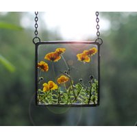 Buttercup Panel, Gepresste Blumen, Gepresste Blumenrahmen, Glasrahmen, Gerahmte Getrocknete Blumen von MARIAELA