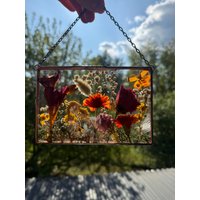 Gepresste Blume, Blumenrahmen, Gerahmte Trockenblumen, Wandbehang, Blumengesteck, Schwebende Rahmen, Büro Deko von MARIAELA