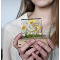 Gepresste Blumen, Gepresster Blumenrahmen, Buntglasrahmen, Holzständer, Wickelstation, Büroideen von MARIAELA