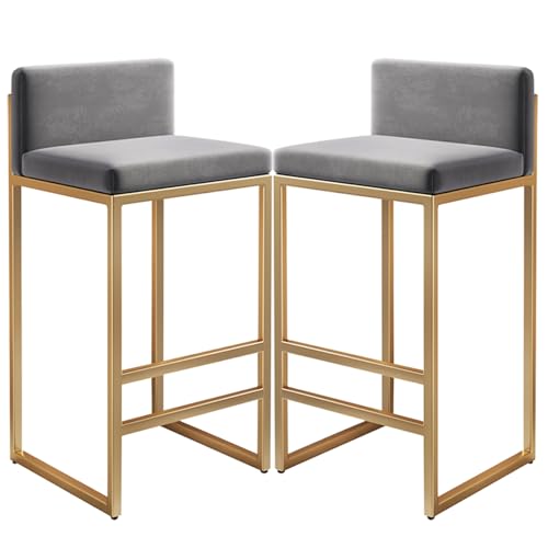 Barhocker 2er-Set, Barstühle in Thekenhöhe aus Samt mit Rückenlehne und Goldener Fußstütze, 29,5 Zoll gepolsterter Hocker für Küche und Schlafzimmer, Inselstühle, Grau von MARIYCH