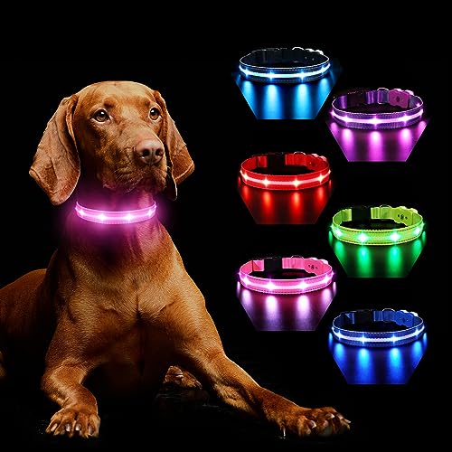 Hundehalsband Leuchtend Aufladbar, Leuchthalsband Hund 7 RGB Farbwechsel mit 8 Leuchtmodi, Verstellbare LED HundeHalsband Wasserdicht für Kleine Mittlere Große Hunde Leuchtendes Halsband, Rosa S von MASBRILL