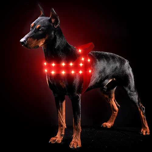 MASBRILL Hundegeschirr Leuchtend Wiederaufladbar, LED Leuchtgeschirr Verstellbar für Klein Mittelgroße Große Hunde, Gepolstert Reflektierend Beleuchtetes Hundegeschirr für Nachtspaziergänge(Rot M) von MASBRILL