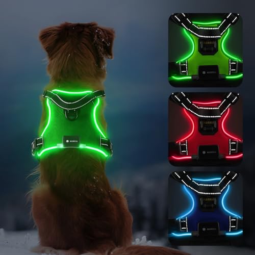 MASBRILL Leuchtgeschirr für Hunde Aufladbar, LED Hundegeschirr Verstellbar für Klein Mittelgroße Große Hunde, Reflektierendes Brustgeschirr Beleuchtet (Grün, L) von MASBRILL