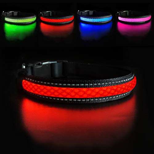 MASBRILL Leuchthalsband Hunde Aufladbar, Hundehalsband Leuchtend Wasserdicht mit 3 Beleuchtungsmodi, Verstellbare LED Halsband für Kleine Mittlere Große Hunde, Rot S von MASBRILL