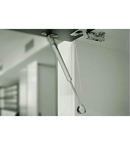 Masidef Gas Kolben Armatur 895 mm x 20 mm x 305 mm Größe, Silber von MOBILA