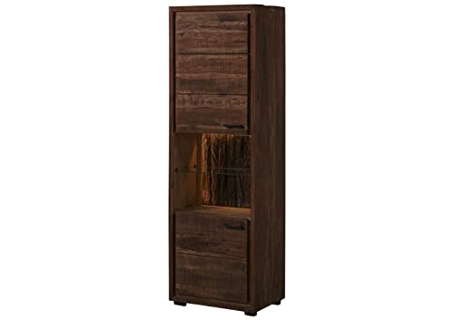 MASSIVMOEBEL24.DE | BARK by WOLFMÖBEL - Vitrine aus Massivholz #202 inkl. LED-Beleuchtung | Akazie - Dunkelbraun, lackiert | 5 Fächer | 58 x 40 x 180 cm | echte Baumrinde von MASSIVMOEBEL24.DE