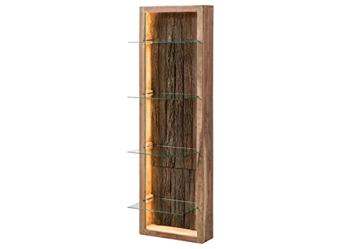 MASSIVMOEBEL24.DE | BARK by WOLFMÖBEL - massives Wandregal- freischwebend - Natur, lackiert | echte Baumrinde | LED-Beleuchtung | Akazienholz | 5 Fächer | 45x30x145 | Regal Vitrine MASSIVMOEBEL24.DE | BARK by WOLFMÖBEL - massives Wandregal- freischwebend - Natur, lackiert | echte Baumrinde | LED-Beleuchtung | Akazienholz | 5 Fächer | 45x30x145 | Regal Vitrine von MASSIVMOEBEL24.DE