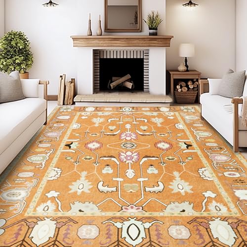 MAST DOO Teppich Wohnzimmer Waschbarer 80x150cm - Boho Kurzflor Teppich Schlafzimmer - Orientalischer Vintage Teppiche Weich rutschfest Design für Schlafzimmer, Esszimmer, Küchen von MAST DOO