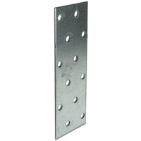 Masterproof Professional - Lochplatte Flachverbinder 40 mm x 120 mm x 2,0 mm, feuerverzinkt von MASTERPROOF PROFESSIONAL