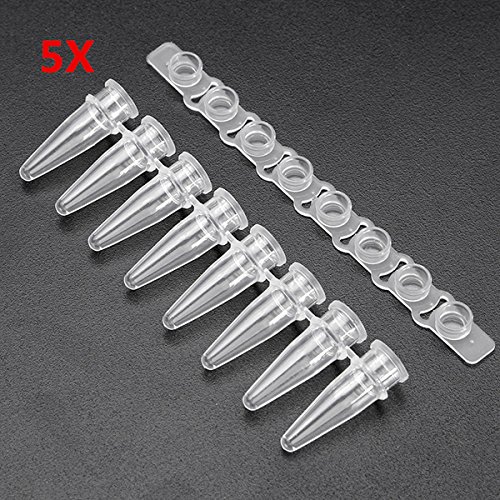 MASUNN 5 Stück Polypropylen Pcr Tube Strip konisch Bottom 8 Tube Strip mit Flat Caps 8 x 0,2 ml von MASUNN
