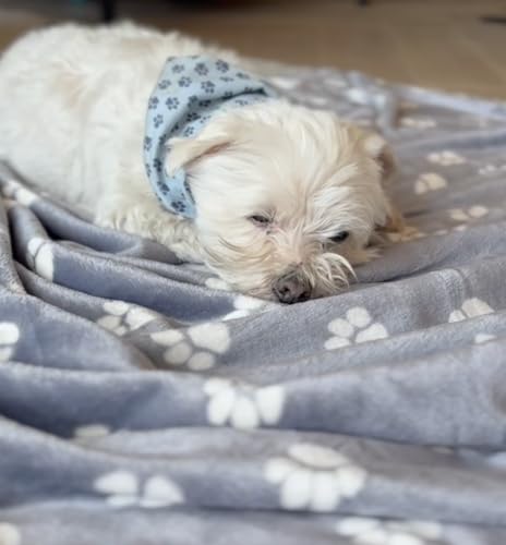 MATE FOR DOGS Kuscheldecke mit Hundepfoten-Muster, 150x190 cm, Grau-Anthrazit, Flauschige Decke für Haustiere (grau) von MATE FOR DOGS