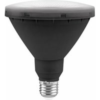 LED-Gartenbirne Par38 IP65 Matel E27 15W kalt von ALFA