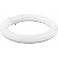 Runde LED-Leuchtstoffröhre 40 cm 32 w neutral - Matel von MATEL