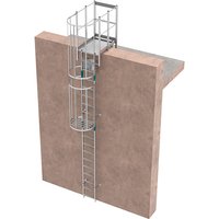 Matisère - Ortsfeste Steigleitern mit Klappe - Steighöhe von 3,46 bis 4,3m - CRINO-SFP/003-7871 Matisère - Ortsfeste Steigleitern mit Klappe - Steighöhe von 3,46 bis 4,3m - CRINO-SFP/003-7871 von MATISÈRE