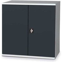 Werkstattschränke mit Flügeltüren - Abm 1000x665x1000mm - Türen RAL 5015 - W030020004-GCBI von MATISÈRE