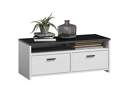MATKAM Fernsehkommode Mili H44xB100xT45cm, laminierte Möbelplatte 18 mm, EIN offenes Regalfach, darunter 2 Ablagen mit Türen Links und rechts, Metallscharniere, satinierte Griffe (Weiß-Schwarz) von MATKAM