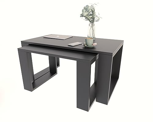 MATKAM Satztisch 2er Set WESTA, Couchtisch im Industrie-Stil, hoher Beistelltisch B100 x T50 x H47,8 cm, niedriger Beistelltisch B78 x T39 x H45,3 cm, einfache Montage (Schwarz) von MATKAM