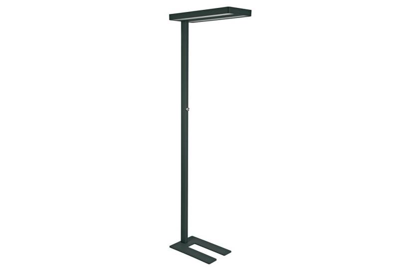 MAUL LED Stehlampe LED-Standleuchte MAULjaval, dimmbar, Dimmbar von MAUL