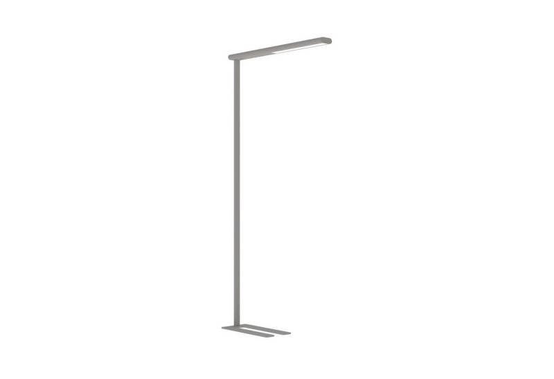 MAUL Stehlampe MAUL Standleuchte MAULjet LED 4.000 K dimmbar Standfuß 195 cm silber, LED wechselbar MAUL Stehlampe MAUL Standleuchte MAULjet LED 4.000 K dimmbar Standfuß 195 cm silber, LED wechselbar von MAUL