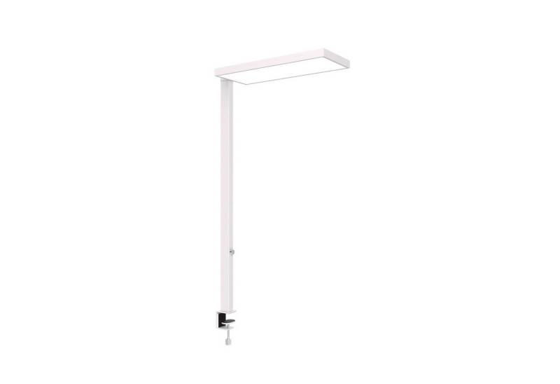MAUL Stehlampe MAUL Standleuchte MAULjura LED 4.000 K dimmbar Klemmfuß 121 cm weiß, LED wechselbar MAUL Stehlampe MAUL Standleuchte MAULjura LED 4.000 K dimmbar Klemmfuß 121 cm weiß, LED wechselbar von MAUL