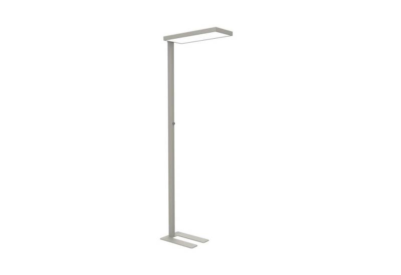 MAUL Stehlampe MAUL Standleuchte MAULjura LED 4.000 K dimmbar Standfuß 196,5 cm silbe, LED wechselbar MAUL Stehlampe MAUL Standleuchte MAULjura LED 4.000 K dimmbar Standfuß 196,5 cm silbe, LED wechselbar von MAUL
