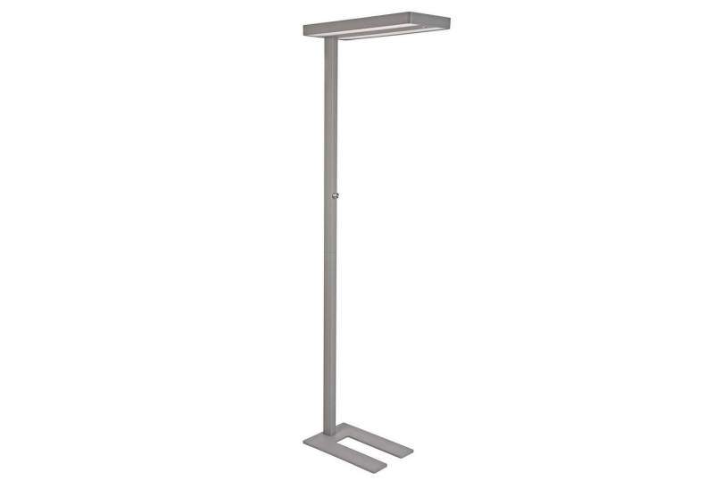 MAUL Stehlampe MAUL Standleuchte MAULjuvis LED 4.000 K dimmbar Standfuß 196 cm silber, LED wechselbar MAUL Stehlampe MAUL Standleuchte MAULjuvis LED 4.000 K dimmbar Standfuß 196 cm silber, LED wechselbar von MAUL