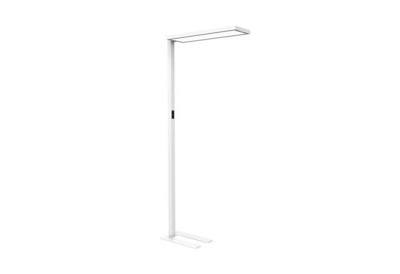 MAUL Stehlampe MAUL Standleuchte MAULsenja LED 2.700 - 5.700 K dimmbar Standfuß 196,1, LED wechselbar MAUL Stehlampe MAUL Standleuchte MAULsenja LED 2.700 - 5.700 K dimmbar Standfuß 196,1, LED wechselbar von MAUL