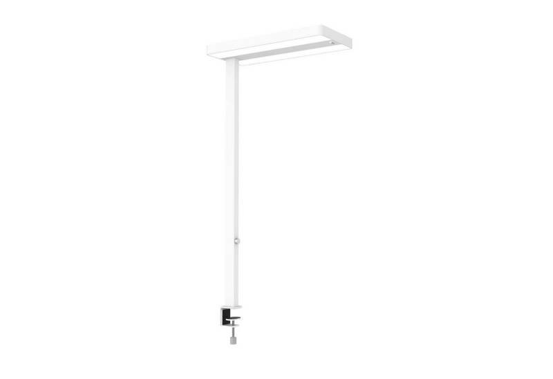 MAUL Stehlampe MAUL Tischaufbau Leuchte MAULjuvis LED 4.000 K dimmbar Klemmfuß 120 cm, LED wechselbar von MAUL