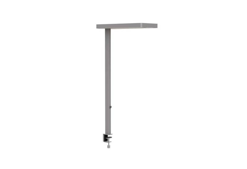 MAUL Stehlampe MAUL Tischaufbau Leuchte MAULjuvis LED 4.000 K dimmbar Klemmfuß 120 cm, LED wechselbar MAUL Stehlampe MAUL Tischaufbau Leuchte MAULjuvis LED 4.000 K dimmbar Klemmfuß 120 cm, LED wechselbar von MAUL