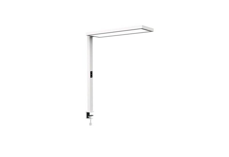 MAUL Stehlampe MAUL Tischaufbau Leuchte MAULsenja LED 2.700 - 5.700 K dimmbar Klemmfu, LED wechselbar von MAUL