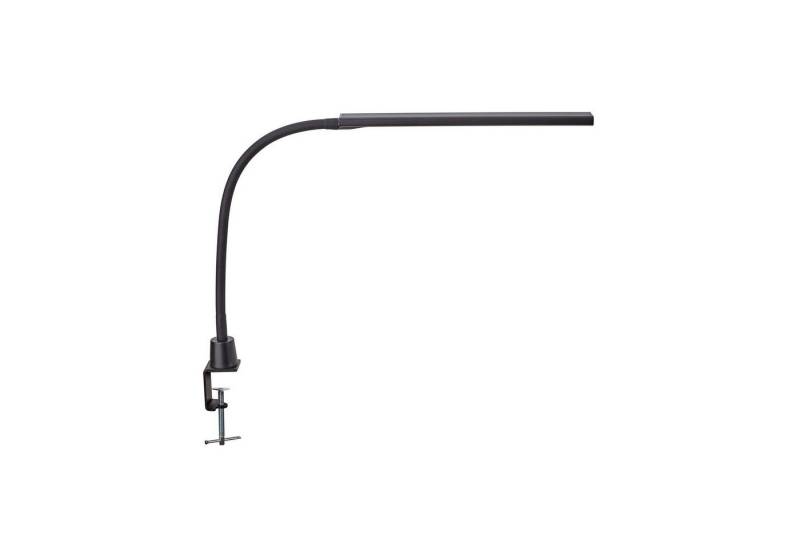 MAUL Tischleuchte MAULpirro, LED wechselbar, Standfuß, Touchfeld-Bedienung, Drehbar, Neigbar, 4 Helligkeitsstufen MAUL Tischleuchte MAULpirro, LED wechselbar, Standfuß, Touchfeld-Bedienung, Drehbar, Neigbar, 4 Helligkeitsstufen von MAUL