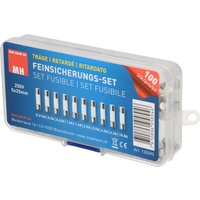 Max Hauri 135395 Feinsicherung-Sortiment (ø x l) 5 mm x 20 mm Träge -t- Inhalt 100 St. von MAX HAURI AG
