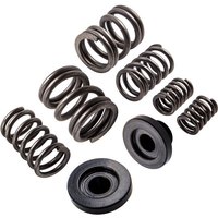 3k + 4k gsk Governor Spring Kit Passend für Dodge Cummins 94-98 3000-40001994-1998 for Dodge Cummins 12 v gsk Governor Spring Kit 3000-4000 U/min 12 v von MAXPEEDINGRODS