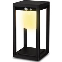 Solarlampen für Außen 15x30 cm - IP54 - Gartendeko - Solar Außenleuchte - Solarleuchte mit Bewegungsmelder - Solarleuchten Außen - Solar Lamp Outdoor von MAXXGARDEN