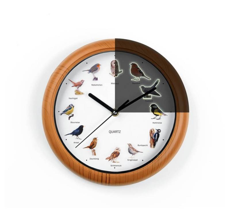 MAXXMEE Wanduhr unterschiedliche Vogelstimmen 25cm (leuchtet im Dunkeln & Abschaltfunktion in der Nacht) von MAXXMEE