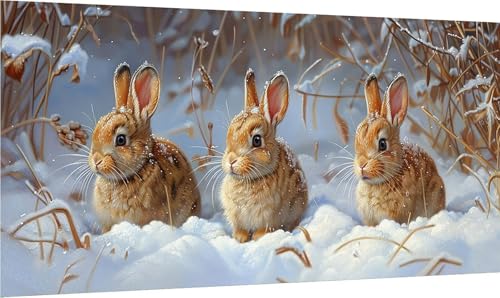 Diamond Painting Kaninchen, 5D Diamond Painting Erwachsene Groß XXL Schneeszene, DIY Full Drill Stickerei Cross Stickerei Set, Diamant Malerei Bastelset Erwachsene, für Deko Wohnzimmer 40x70cm Z-3505 Diamond Painting Kaninchen, 5D Diamond Painting Erwachsene Groß XXL Schneeszene, DIY Full Drill Stickerei Cross Stickerei Set, Diamant Malerei Bastelset Erwachsene, für Deko Wohnzimmer 40x70cm Z-3505 von MAYINGOU