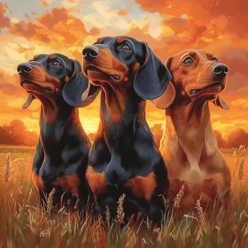 Malen Nach Zahlen Erwachsene Sonnenuntergang,DIY Malen Nach Zahlen Hund, DIY Basteln Erwachsene Leinwand Kits Mit Pinseln und Acrylfarbe, Paint by Numbers Kits für Anfänger, Dekoration, 50x50cm K-7770 von MAYUPEOU